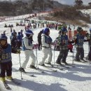 선장초등학교 이미지