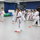 일동태권도장 이미지