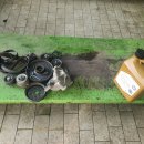 광주 카 닥터 이미지