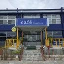풍천초등학교 | 안동 대형 카페 추천 하회마을 근처 애견동반 카페 하모하모 방문 후기