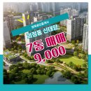 신태양