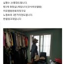 노형초등학교 이미지