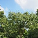 영수목장 이미지