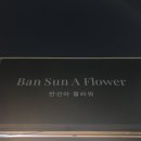 반선아플라워 네이버블로그
