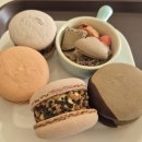 쩡스케이크앤갤러리 | [음성읍 카페]#마카롱 맛집(feat. 브레드이발소 마카롱유래)#쩡스케이크앤갤러리