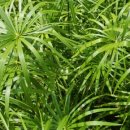 (주)올로 이미지