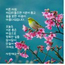 즐거운 Daum카페