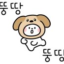 차오름동물병원 이미지