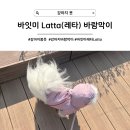 루야테크 | [강아지 봄옷] 가볍고 활동성 좋은 강아지 바람막이 추천, 바잇미 레타 윈드브레이커 Latta
