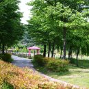 악양생태공원 이미지