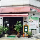 올리브트리