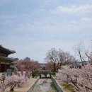 종로-신영-종로-영-340 | 대온실 수리 보고서 (한국소설) _ 김금희 : 이 책이야말로 창경궁 대온실 바이럴 소설 아닙니까?