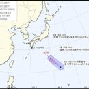 리피 이미지