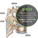세바른병원 이미지