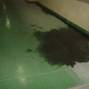 샤르망프라자 이미지