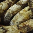 임홍식농장 이미지