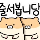 랄라에뜨 이미지