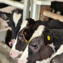 에이아그로 이미지