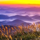 너울숲공원 이미지