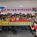 제주시 농협 본점 이미지