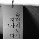 삼열
