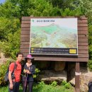 고사리곡 이미지