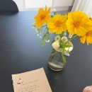 인더쉐이드 | [담양/숙소추천] 아이와 어른 모두 힐링하는 독채 풀빌라 펜션 “인더쉐이드”