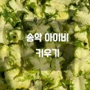 아이비환경 이미지