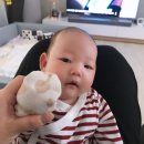 포트뷰 티스토리