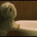 포항 펜션 프레젠트 이미지