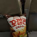 아모르 호스텔 | [필리핀-시키호르] 5박 7일 시키호르 여행기 (숙소, 스노쿨링 등)