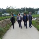 동덕2리 Daum카페