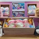 서래안 펫타운 이미지