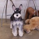 트리밍807 이미지