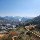 시티부동산중개사무소 이미지