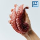 문어랑 - 강릉시 해안로 1713 | 문어랑