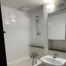 아젤리아 이미지