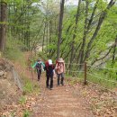 치악산둘레길 10코스 아흔아홉골길 이미지