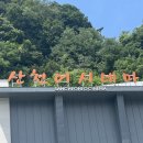 화천 산천어시네마 예매 주의사항
