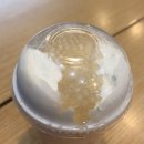 [공차 신메뉴] 그릭데이 콜라보 양즈깐루 버전?! 그릭 요거티 &amp; 자몽 망고 미니펄 크러쉬 솔직후기