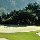 중앙골프 이미지