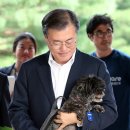 토리 - 영등포구 영중로 40 | 토리