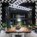 푸켓호텔 프로모션- 블루몽키 허브앤 호텔 푸켓타운 2025년 11월 1일~ 2026년 10월31일. 1박당 1500바트부터 시작. 푸켓 이미지