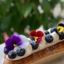 라벨르(la belle) 이미지