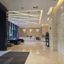 호텔스카이파크 센트럴 서울판교점 이미지