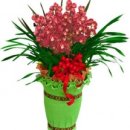 신성주유소 이미지