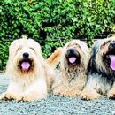 달구회관 이미지