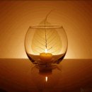 지혜의샘터 이미지