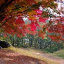 가을 단풍 명산 소개 이미지
