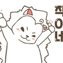 슈퍼텐트칼라 이미지